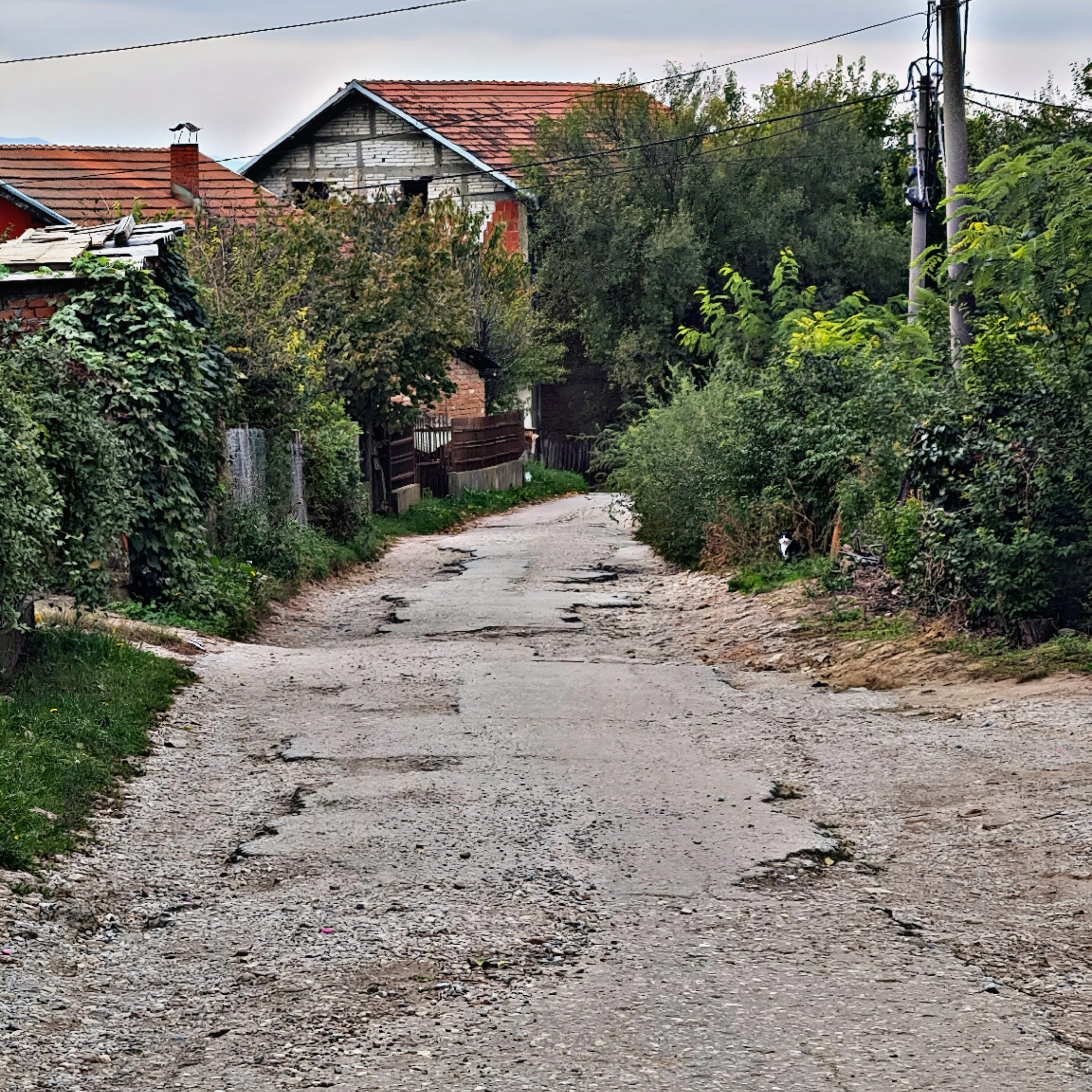 Potočka ulica u Smederevskoj Palanci - svakodnevne muke stanovnika zbog propalog puta 1