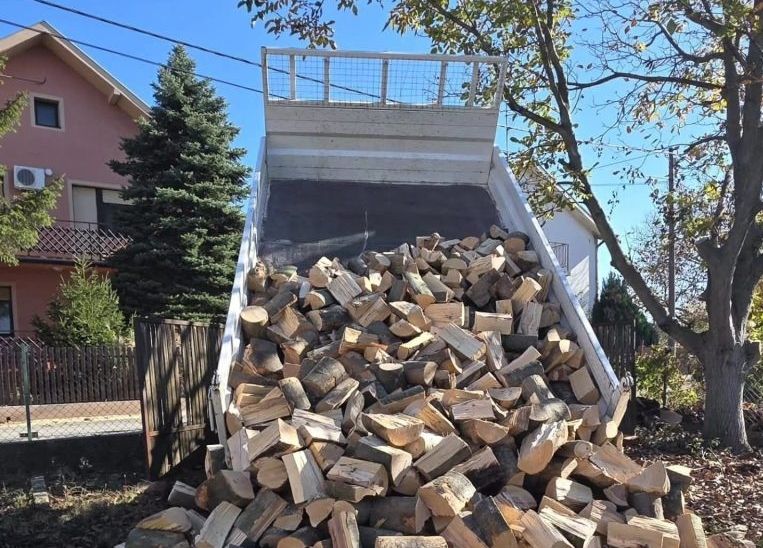Poseta porodici Anđelković u Donjem gradu i pomoć za predstojeću zimu<br> 2