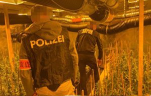 Razbijena međunarodna narko-grupa: Zaplenjene laboratorije u Beču, hapšenja u tri države