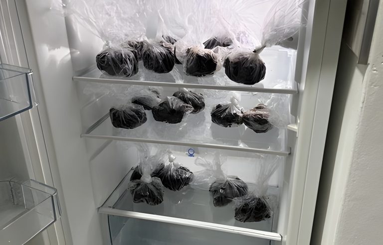 Picsart 26 01 11 11 26 11 763