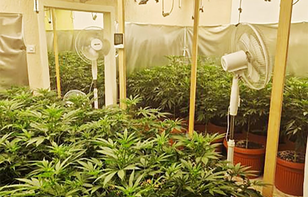 Hapšenje zbog neovlašćene proizvodnje droge: Otkrivene dve laboratorije kod Subotice - Palanka info Hapšenje zbog neovlašćene proizvodnje droge: Otkrivene dve laboratorije kod Subotice - Palanka info