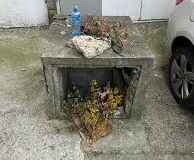 MISTERIJA SMRTI STELE SAVIĆ: Policija istražuje da li je u pitanju brutalno ubistvo? - Palanka info