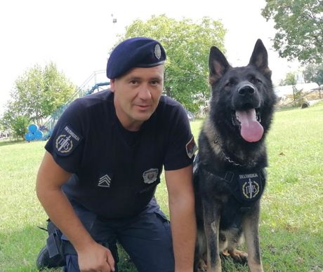 POSLEDNJI KORACI MLADE LJUDMILE: U STAN UŠLA NASMEJANA, TELO U KOFERU PRONAŠAO POLICIJSKI PAS AKI - Palanka info POSLEDNJI KORACI MLADE LJUDMILE: U STAN UŠLA NASMEJANA, TELO U KOFERU PRONAŠAO POLICIJSKI PAS AKI - Palanka info
