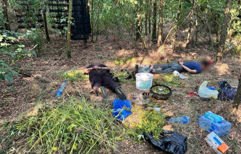 PALA ILEGALNA LABORATORIJA MARIHUANE U GROCKOJ: Policija zaplenila oko 30 kilograma droge i uhapsila dve osobe - Palanka info