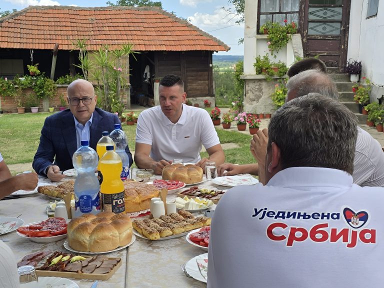 Vučević: Želja SNS-a je da Vučić bude nosilac liste i kandidat za premijera - Palanka info