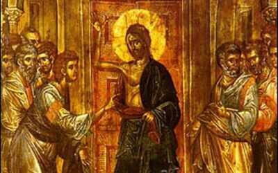 - Palanka info